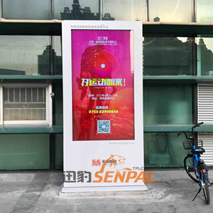 迅豹立式戶外廣告機(jī)成體育館新寵