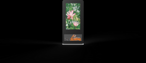 橫放式廣告機(jī)